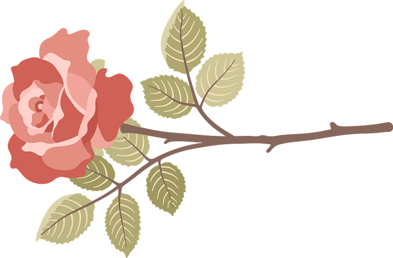 Horizontal rose image